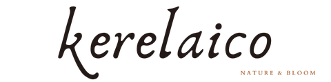 kerelaico.com
